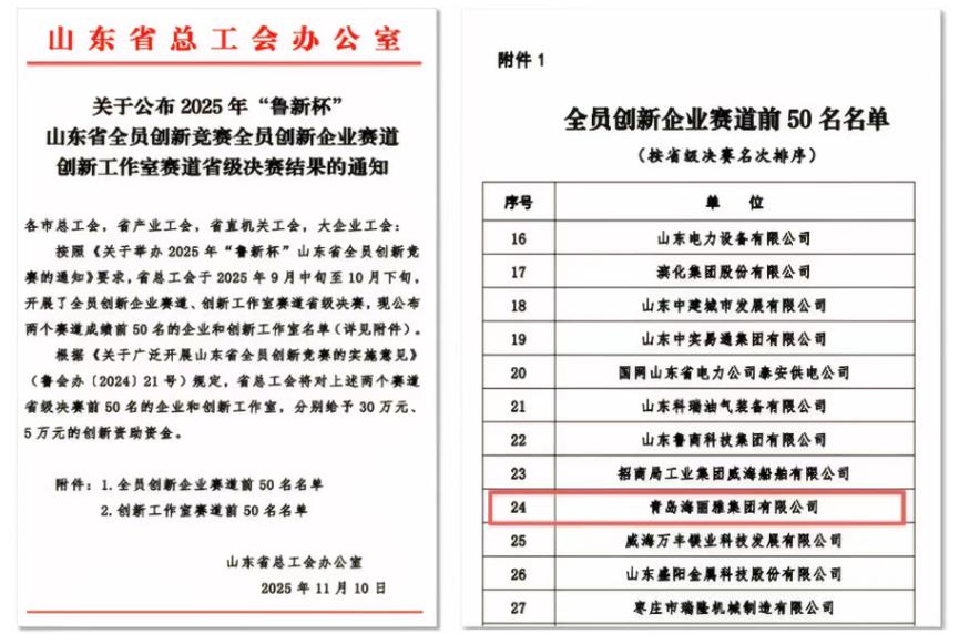 青島海麗雅集團(tuán)